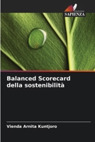 Balanced Scorecard della sostenibilità (Italian Edition) 6630315154 Book Cover