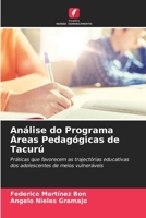 Análise do Programa Áreas Pedagógicas de Tacurú (Portuguese Edition) 6208584736 Book Cover