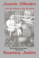 Juvenile Offenders: From Big Wheels to the Big House 0999322656 Book Cover