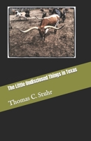 The Little Undisclosed Things in Texas B0BF381YXW Book Cover