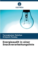 Energieaudit in einer Snackverarbeitungslinie 6206408574 Book Cover
