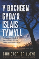 The Boy with the Dark Undertone: Cyfieithiad Cymraeg (Welsh Translation) (Welsh Edition) B0H6H625XZ Book Cover