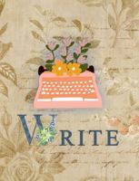 Write: Story and Character Building Journal For Writers and Authors: Plot Your Concepts For Streamlined Storytelling 1950314162 Book Cover