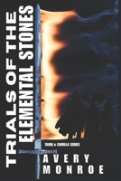Trials of the Elemental Stones: An Epic Portal Fantasy of Lost Memories, Ancient Powers, and the Rise of the Black Sigil (Tariq & Camilla) B0FKHCZNTR Book Cover