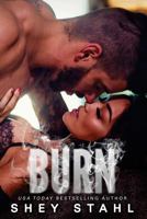 Burn 1546314458 Book Cover