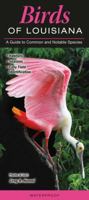 Birds of Louisiana: A Guide to Common & Notable Species 1936913399 Book Cover
