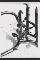 Beneath the Barn: Five stories from the alternate dimensions of the Orb B08W3RNX1C Book Cover