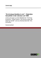 Es ist etwas Dunkles in mir - Pubert�re Sexualit�t in der Literatur um 1900 3640904249 Book Cover