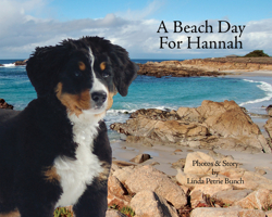 A Beach Day for Hannah 0977778193 Book Cover