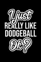 I Just Really Like Dodgeball Ok?: Christmas Gift for Dodgeball lover Funny Dodgeball Journal Nice 2019 Christmas Present for Dodgeball 6x9inch 120 pages 1702341534 Book Cover
