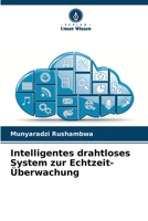 Intelligentes drahtloses System zur Echtzeit-Überwachung 6208658071 Book Cover