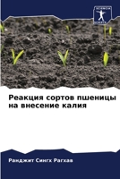 Реакция сортов пшеницы на внесение калия 6205966247 Book Cover