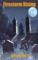 Firestorm Rising 1912513706 Book Cover