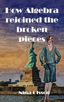 How Algebra Rejoined the Broken Pieces 1803816732 Book Cover