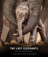 The Last Elephants 1588346633 Book Cover