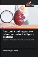 Anatomia dell'apparato urinario: lezioni e figure pratiche (Italian Edition) 6209300340 Book Cover