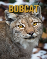 Bobcat: Incredible Pictures and Fun Facts about Bobcat B08CWJ8FF3 Book Cover