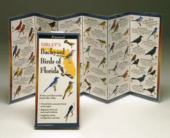 Sibley's Backyard Birds of Florida 1935380117 Book Cover