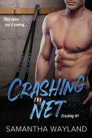 Crashing the Net 1940839076 Book Cover