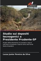 Studio sui depositi tecnogenici a Presidente Prudente-SP (Italian Edition) 620986693X Book Cover