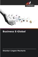 Business E-Global 6209091342 Book Cover