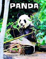 Panda: zeichnen und schreiben 1072658836 Book Cover