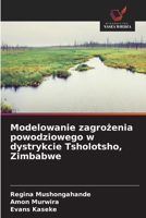 Modelowanie zagrozenia powodziowego w dystrykcie Tsholotsho, Zimbabwe (Polish Edition) 6208766052 Book Cover