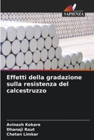 Effetti della gradazione sulla resistenza del calcestruzzo (Italian Edition) 6209847242 Book Cover