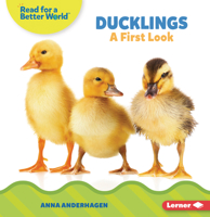 Ducklings: A First Look B0CPM4Q57M Book Cover