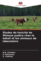 Études de toxicité de Mimosa pudica chez le bétail et les animaux de laboratoire (French Edition) 6209055303 Book Cover