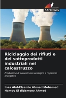 Riciclaggio dei rifiuti e dei sottoprodotti industriali nel calcestruzzo (Italian Edition) 620897092X Book Cover