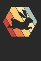 Hase Kaninchen Notizbuch: Hase Kaninchen Notizbuch f�r Liebhaber / Notizheft / Notizblock A5 (6x9in) Dotted Notebook / Punkteraster / 120 gepunktete Seiten 1673951465 Book Cover