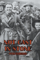 Not Cast In Stone B0C4T9KWX1 Book Cover