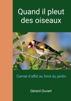 Quand il pleut des oiseaux (French Edition) B0FN3JTHNC Book Cover
