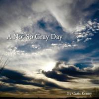 A Not So Gray Day 1530734223 Book Cover