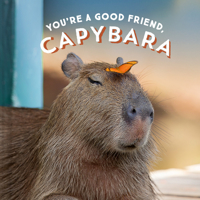 You're a Good Friend, Capybara 1797210572 Book Cover