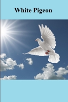 White Pigeon 1365052311 Book Cover