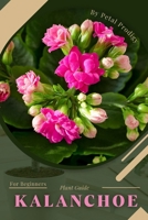 Kalanchoe: Prodigy Petal, Plant Guide B0BXN421T3 Book Cover