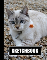 Sketchbook: Beautiful Cat Cover Design | White Paper | 120 Blank Unlined Pages | 8.5" X 11" | Matte Finished Soft Cover 1713013665 Book Cover