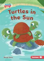 Turtles in the Sun 1541573196 Book Cover