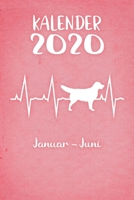 Kalender 2020: Rosa Tageskalender Golden Retriever Herzschlag Hunde 1. Halbjahr Januar Juni ca DIN A5 weiß über 190 Seiten 1650663498 Book Cover