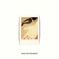 Walk on the Beach : Things from the Sea, Volume 1 0692707646 Book Cover