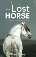 The Lost Horse - Book 6 in the Connemara Horse Adventure Series for Kids The Perfect Gift for Children 1915542499 Book Cover