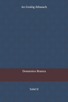 An Gealóg Áthasach (Serie - Il passero e la fata) (Irish Edition) B0GQ54GJX5 Book Cover