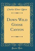 Down Wild Goose Canyon (1910) 1436825385 Book Cover