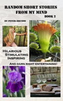 Random Short Stories from my mind... book 2 B0BTS9G3BJ Book Cover