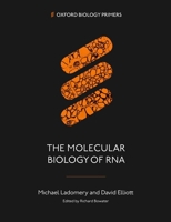 Molecular Biology of RNA 0192897357 Book Cover