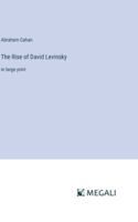 The Rise of David Levinsky: in large print 338702262X Book Cover