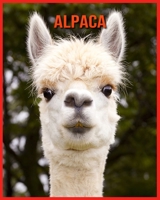 Alpaca: Children Book of Fun Facts & Amazing Photos B08W3MCJHV Book Cover