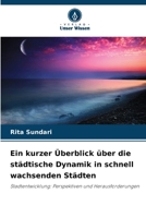 Ein kurzer Überblick über die städtische Dynamik in schnell wachsenden Städten (German Edition) 6209837123 Book Cover